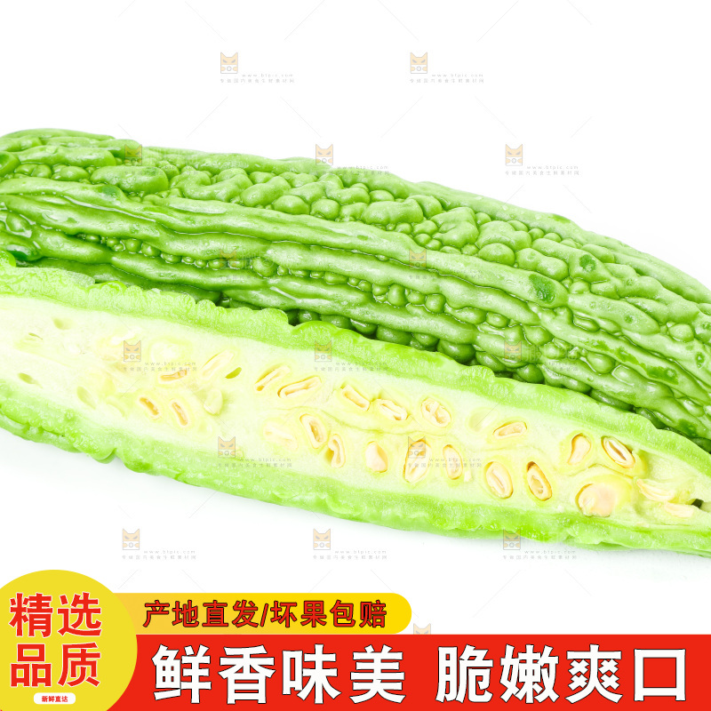 白底上的苦瓜