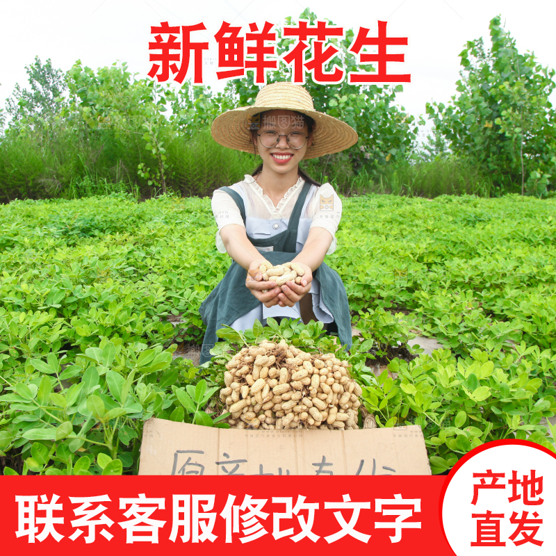 手里拿着现挖花生
