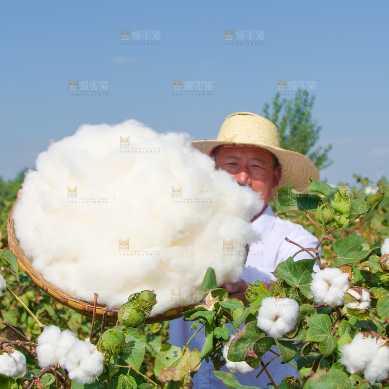 手里拿着棉花