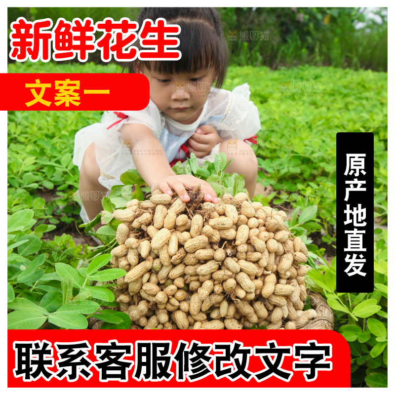 手里拿着现挖花生