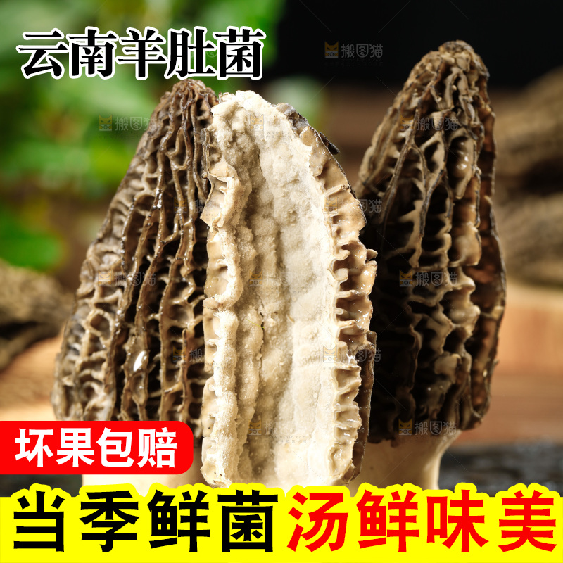 木底上的羊肚菇