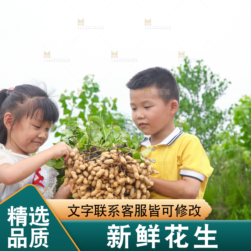 手里拿着现挖花生