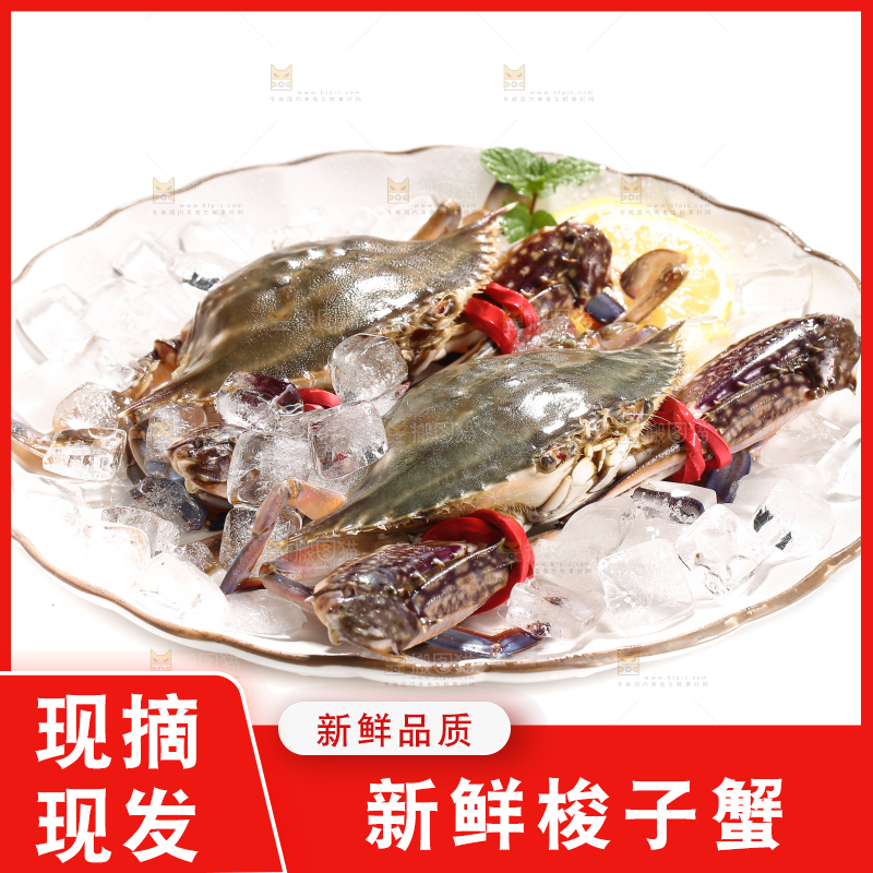 白底上的梭子蟹