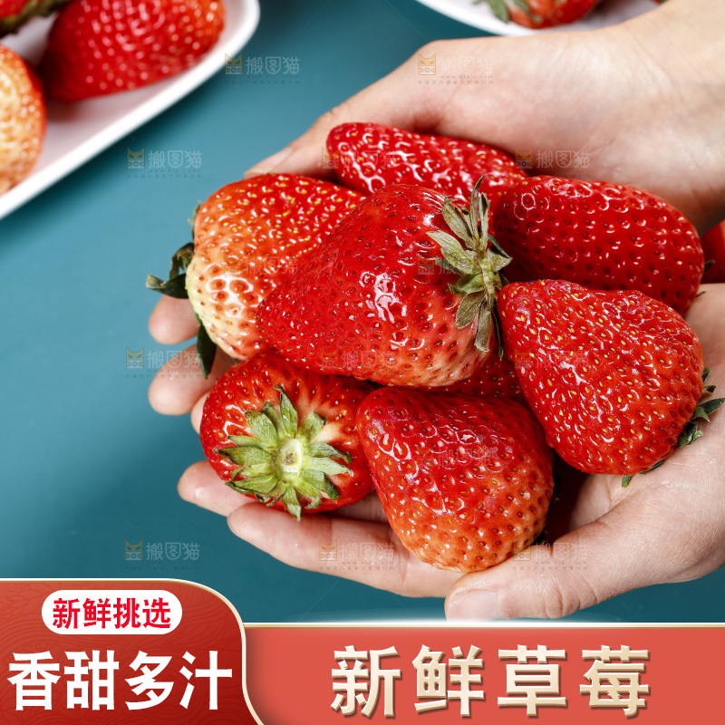 深底上的丹东草莓