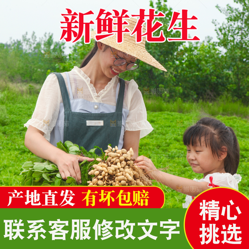 手里拿着现挖花生