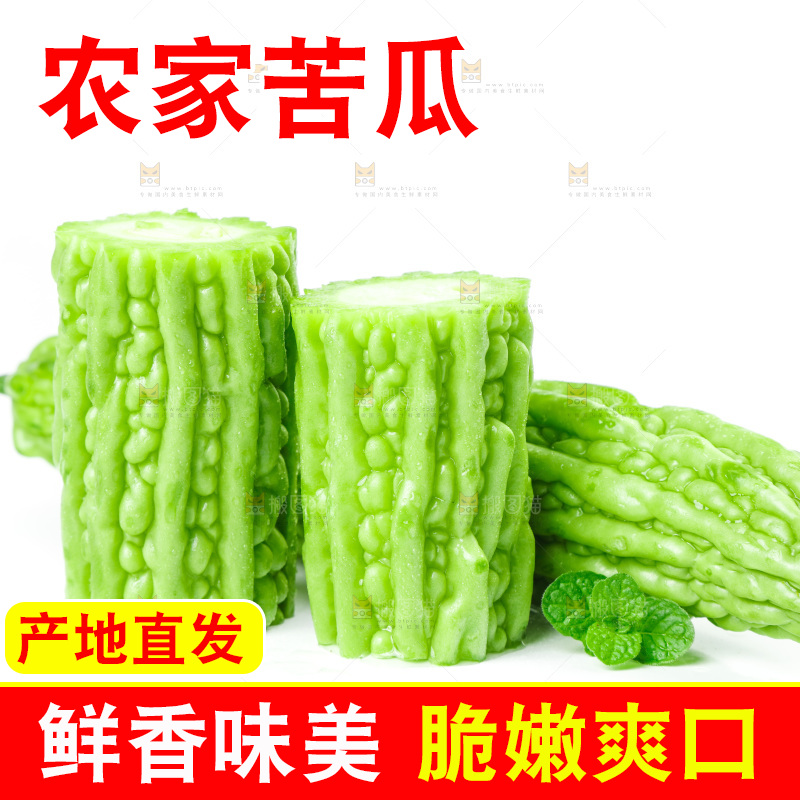 白底上的苦瓜