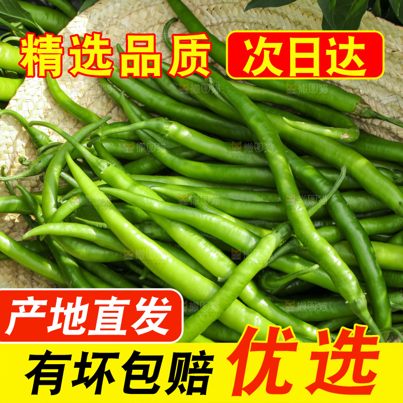 地里现摘的线椒