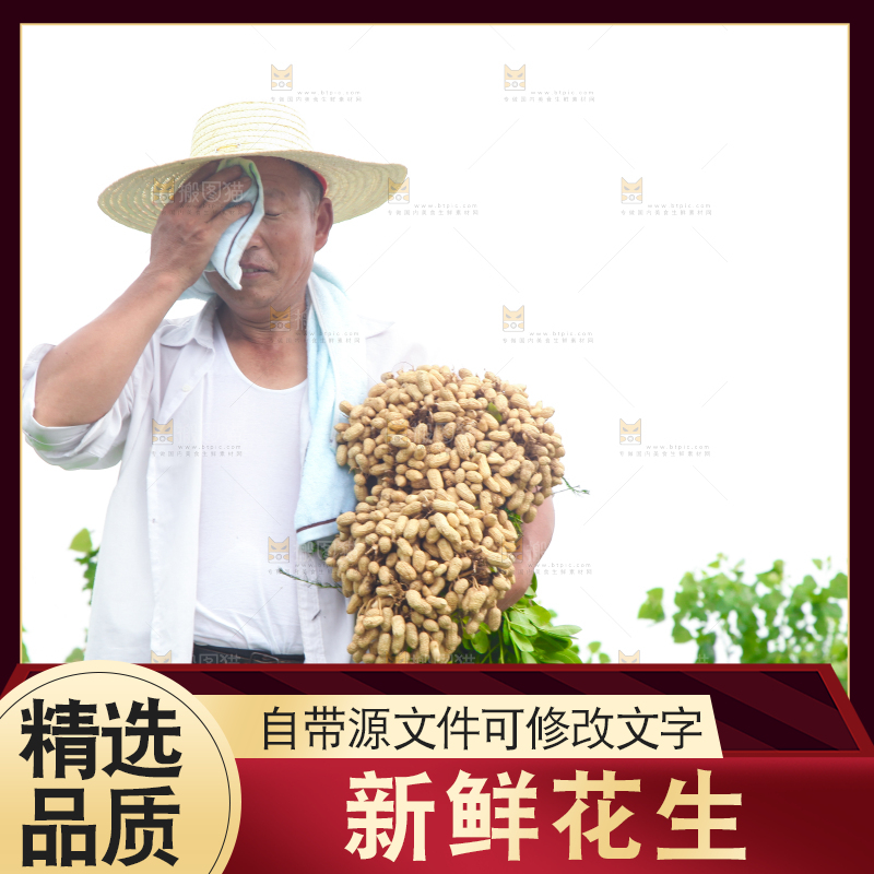手里拿着现挖花生