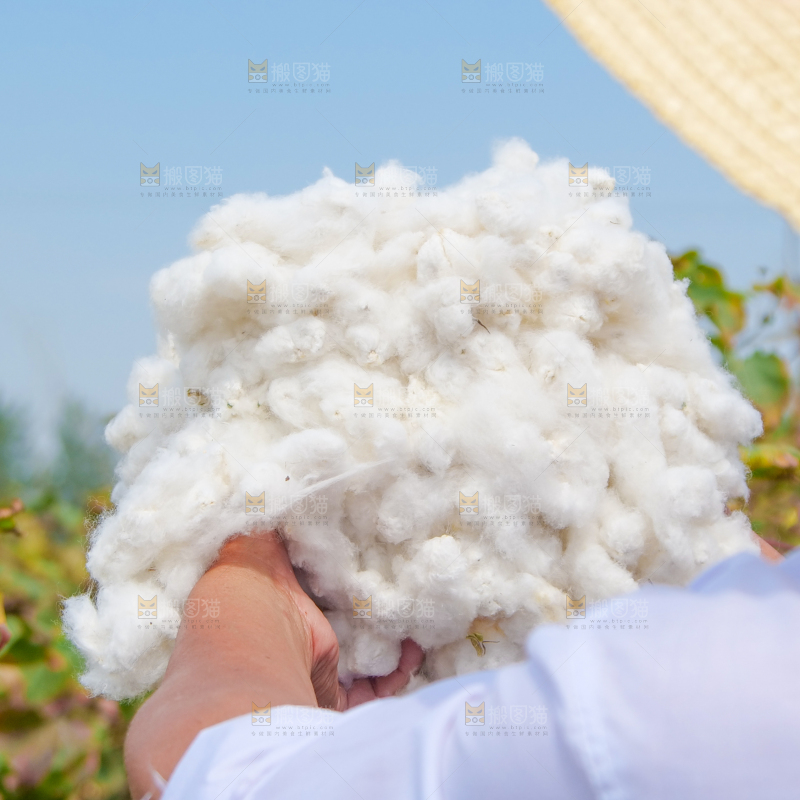 手里拿着棉花