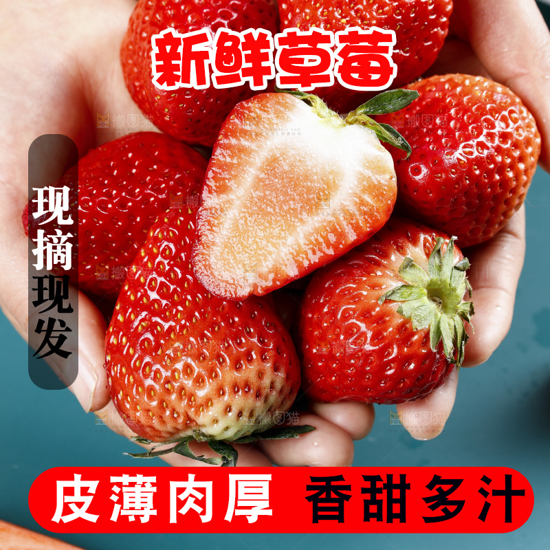 深底上的丹东草莓