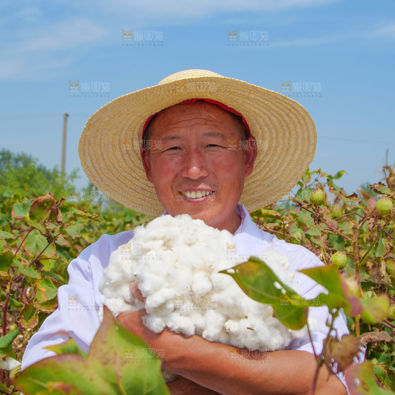 手里拿着棉花