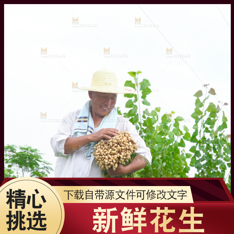 手里拿着现挖花生