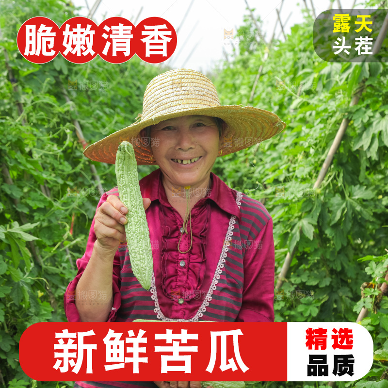 手里拿着新鲜苦瓜