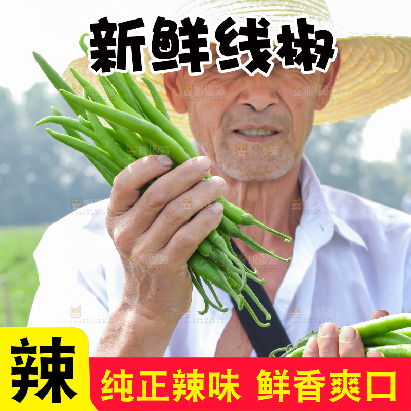 手里拿着现摘线椒