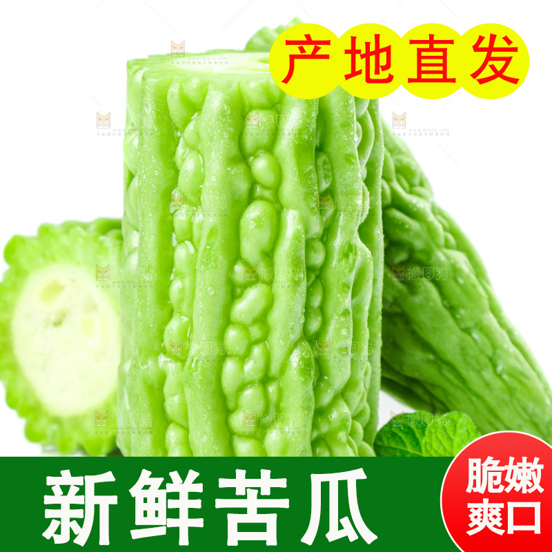 白底上的苦瓜