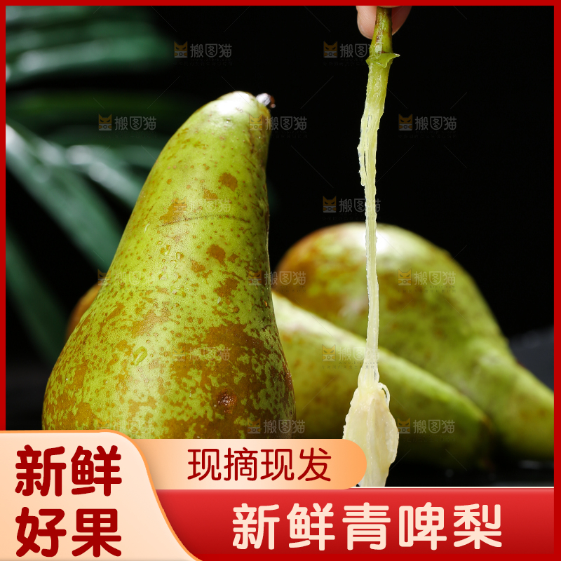 黑底上的进口啤梨