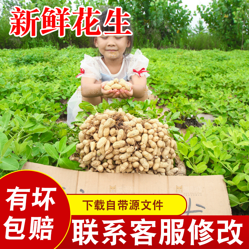 手里拿着现挖花生
