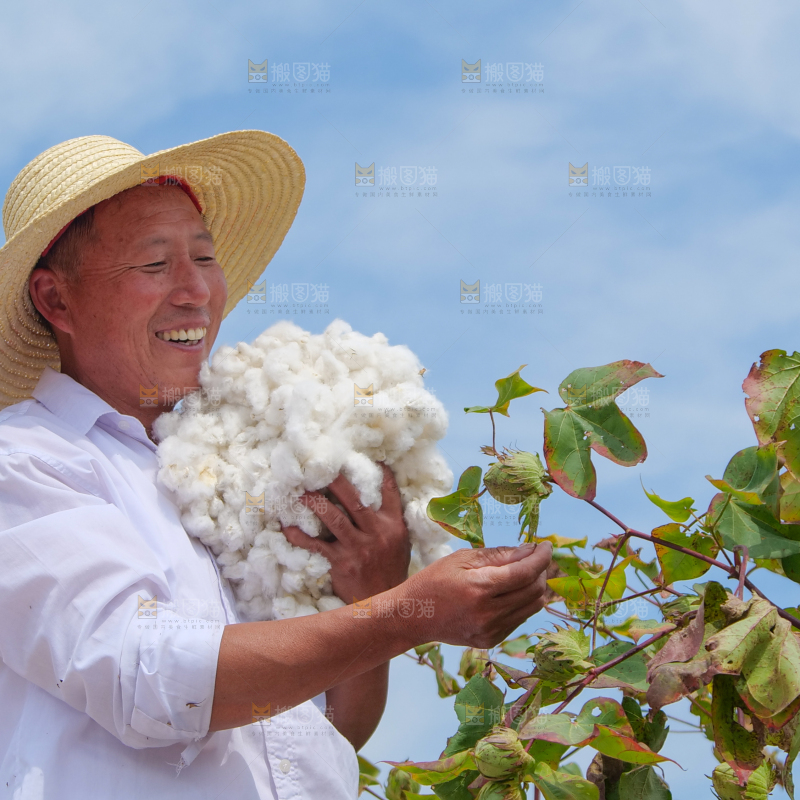 手里拿着棉花