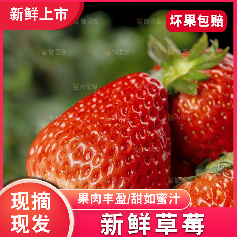 深底上的丹东草莓