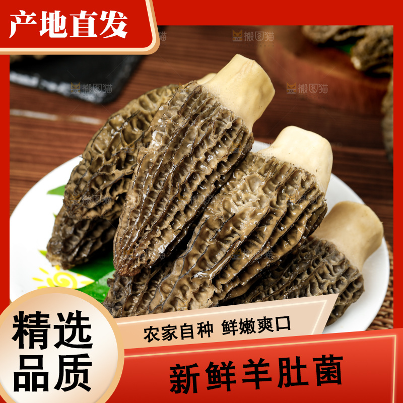 木底上的羊肚菇