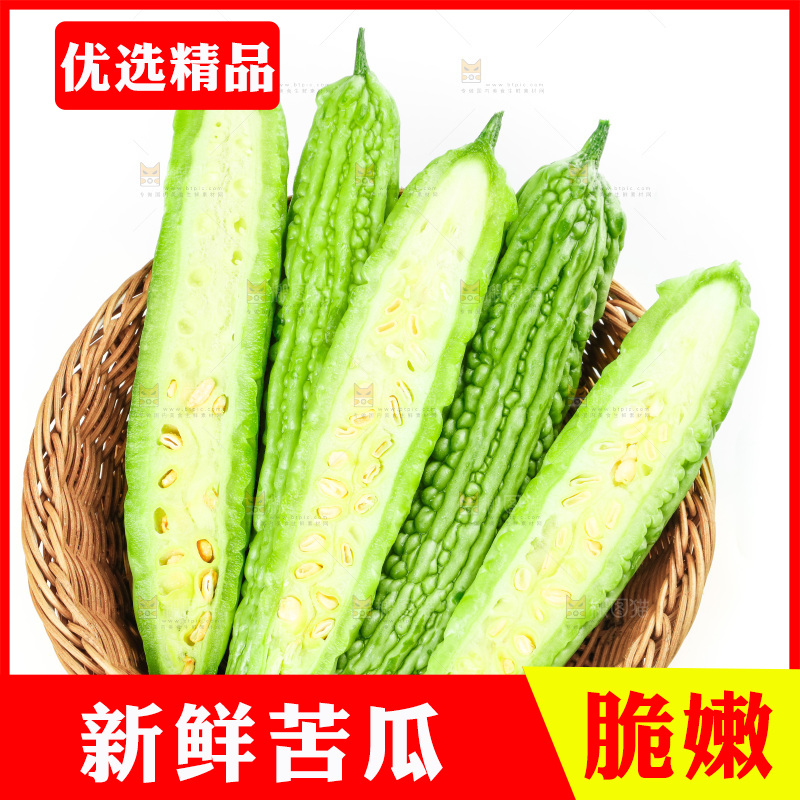 白底上的苦瓜