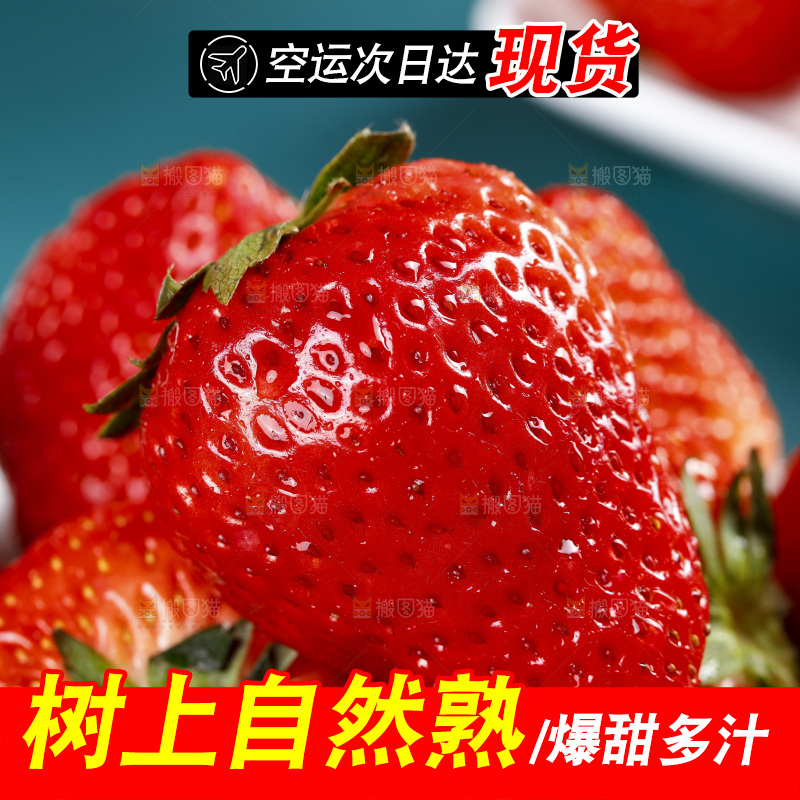 深底上的丹东草莓