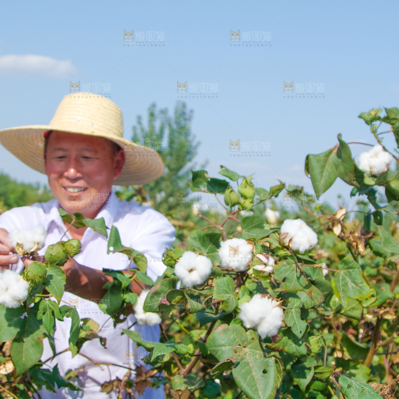 手里拿着棉花