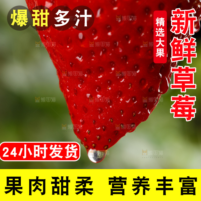 深底上的丹东草莓