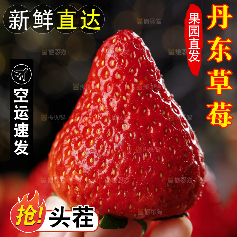 深底上的丹东草莓