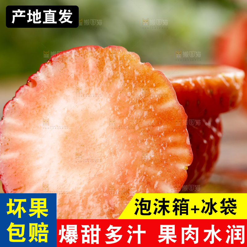 深底上的丹东草莓