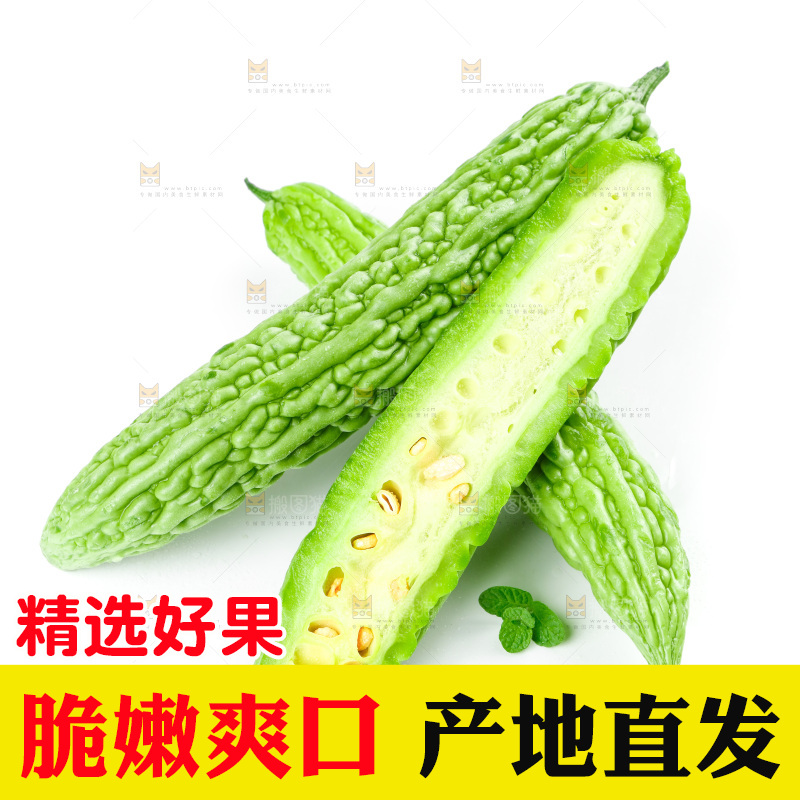 白底上的苦瓜