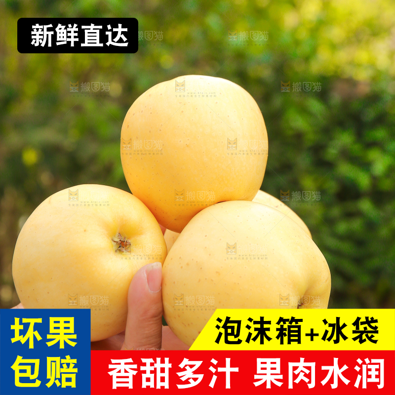 手里拿着维纳斯苹果