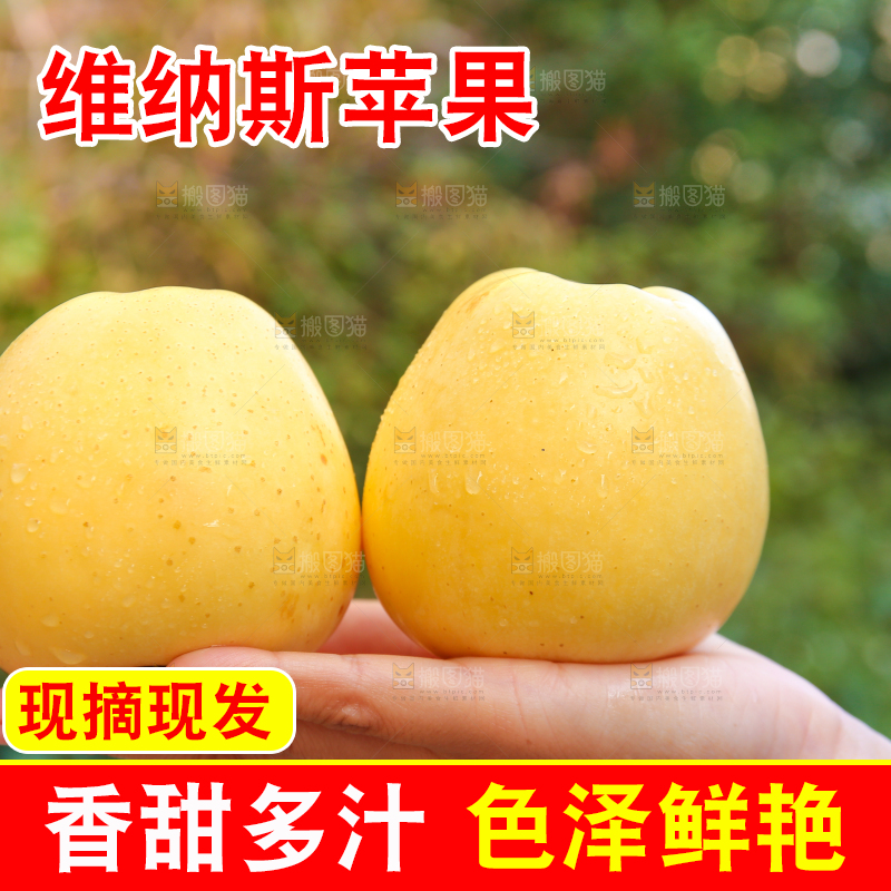 手里拿着维纳斯苹果