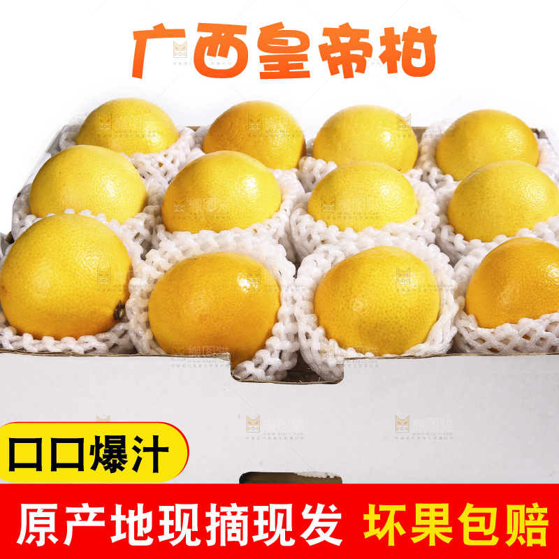 白底上的皇帝柑