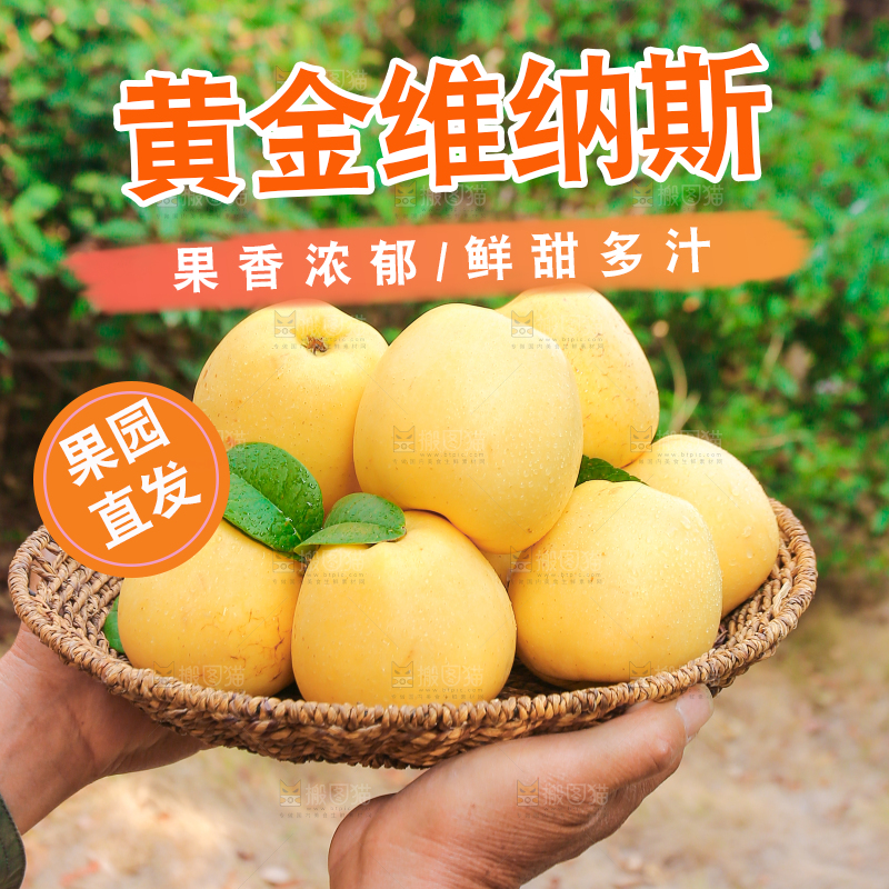 手里拿着维纳斯苹果