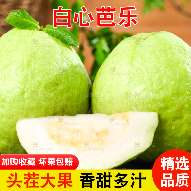 深底上的白心芭乐