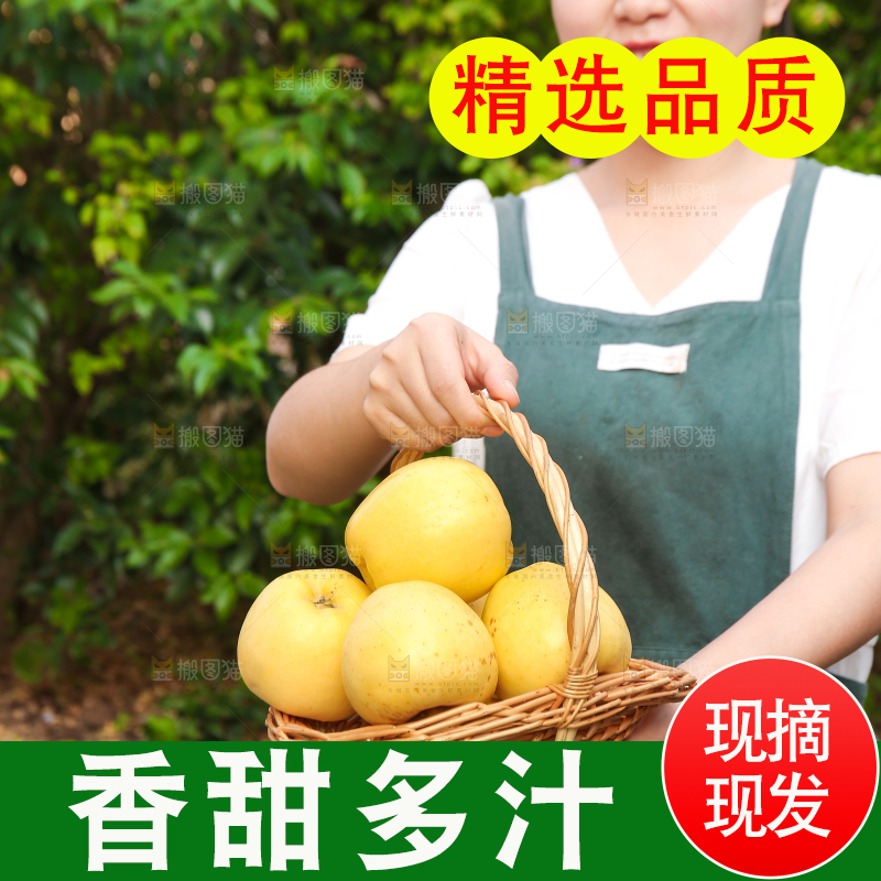 手里拿着维纳斯苹果