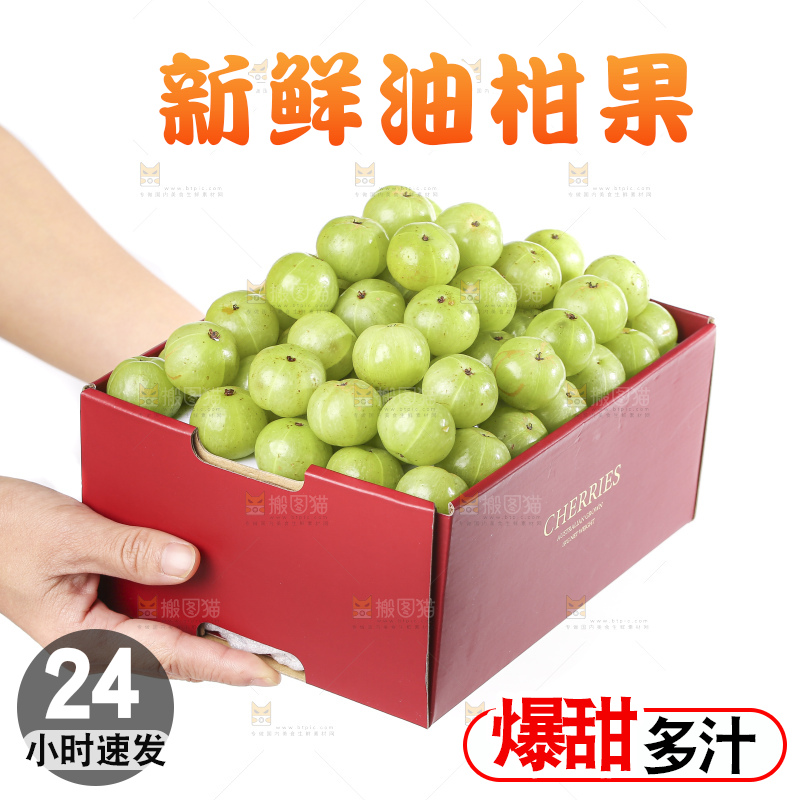 礼品盒里装着的油甘果
