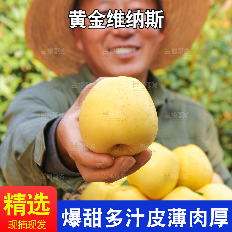 手里拿着维纳斯苹果