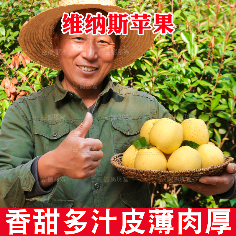 手里拿着维纳斯苹果