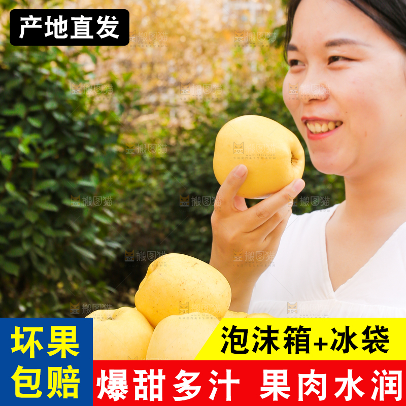 手里拿着维纳斯苹果