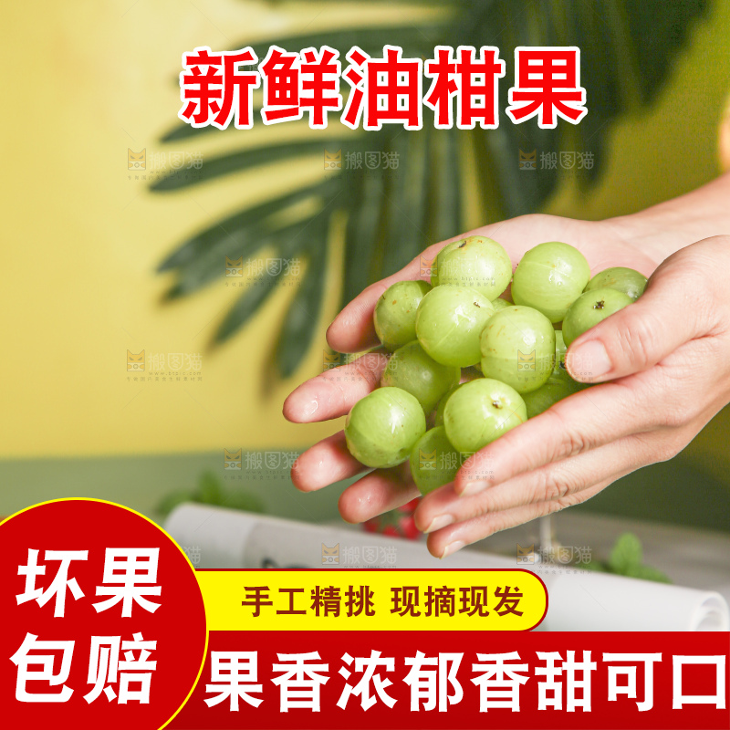 浅底上的油甘果