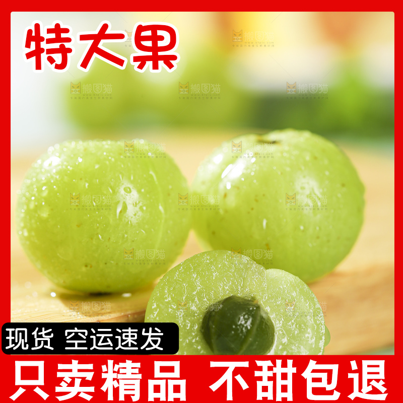 浅底上的油甘果