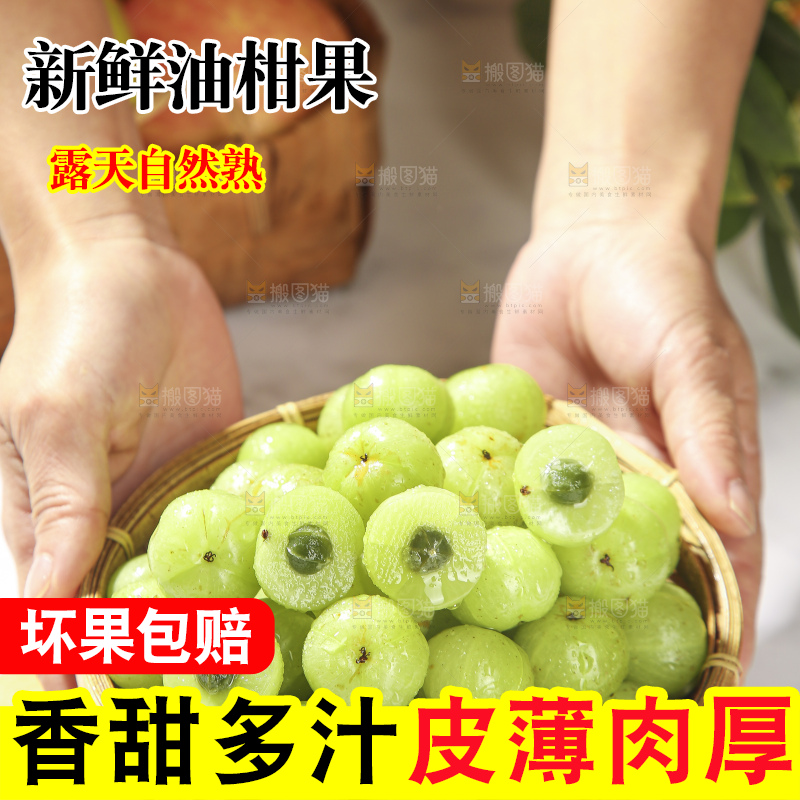 浅底上的油甘果