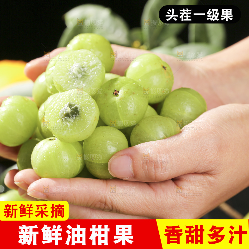 深底上的油甘果