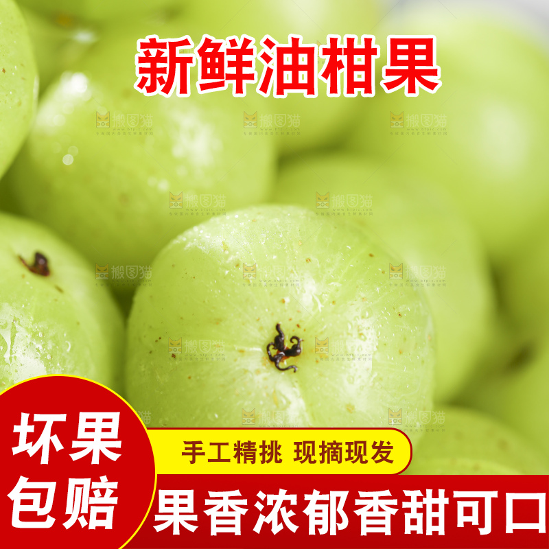 浅底上的油甘果
