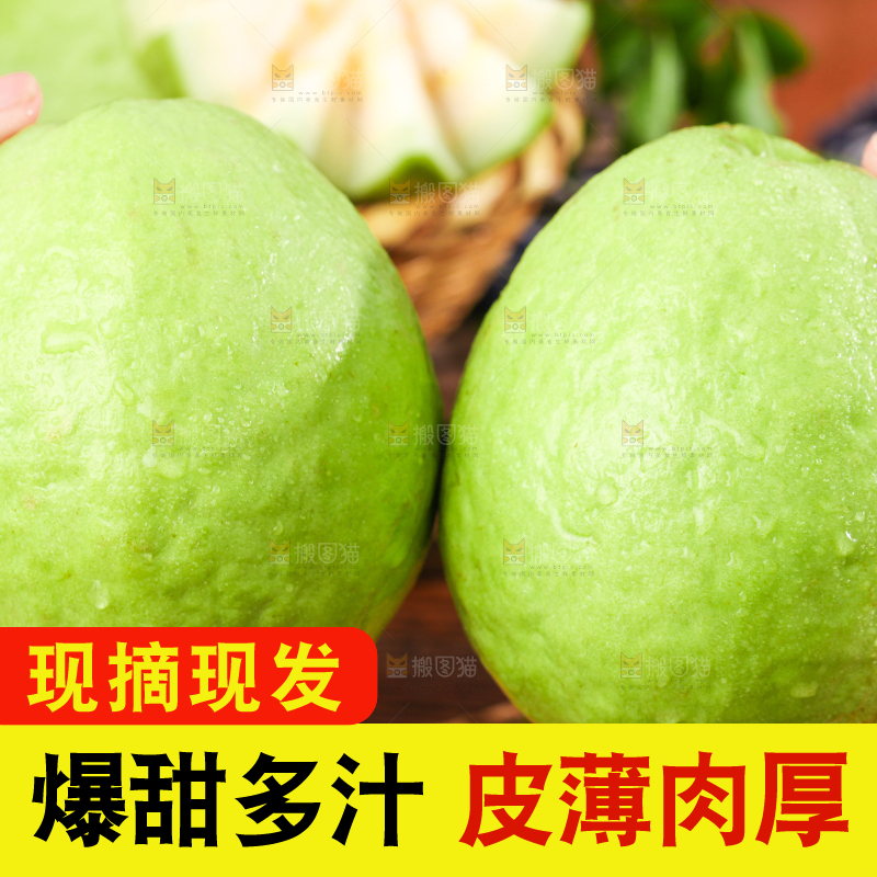 深底上的白心芭乐