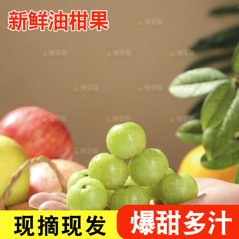 浅底上的油甘果