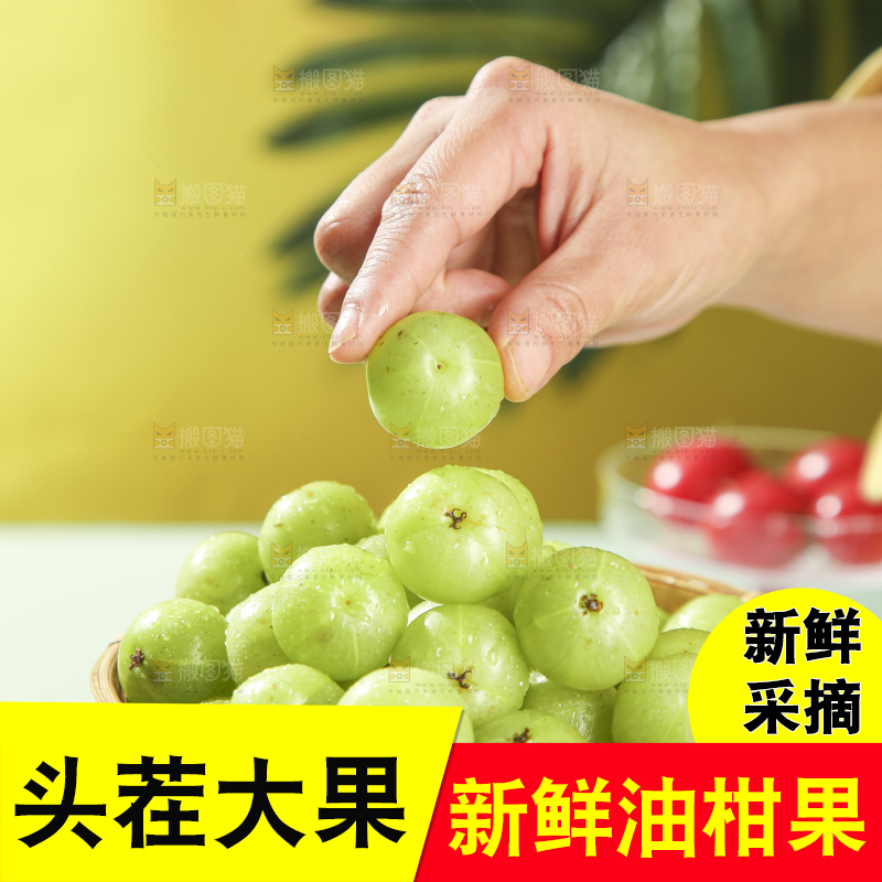 浅底上的油甘果
