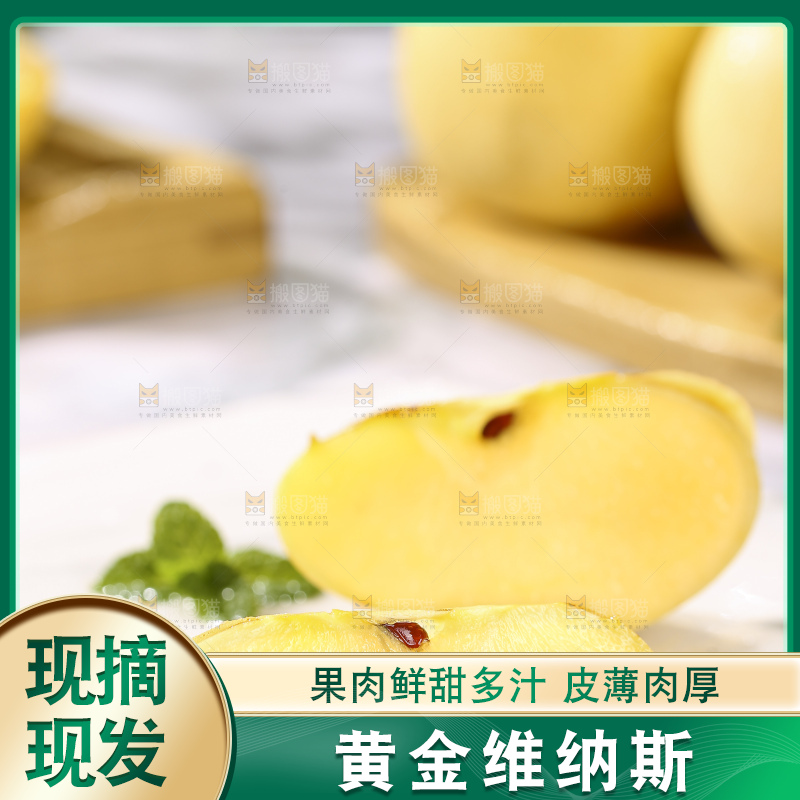 浅底上的维纳斯苹果